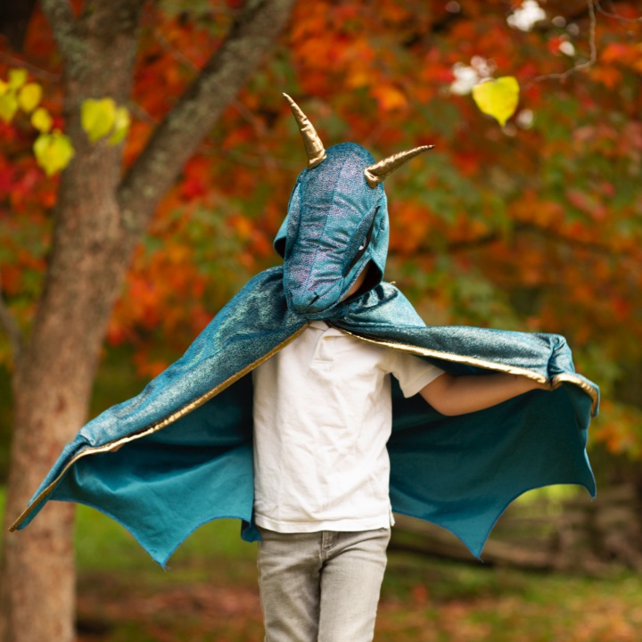 CAPE DRAGON DE DRAGON ÉTOILÉE 5-6ANS