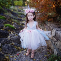 ENSEMBLE JUPE & BANDEAU LICORNE 4-7ANS
