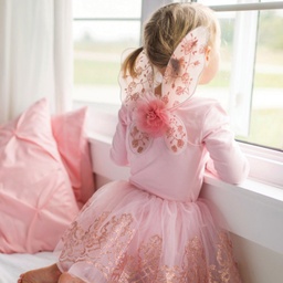 ENSEMBLE TUTU & AILES OR ROSE 4-6ans