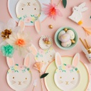 GRANDE ASSIETTES PASTELS BORDURE NÉON