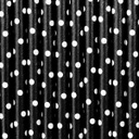 PAILLES NOIR PETIT POIS