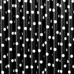 PAILLES NOIR PETIT POIS