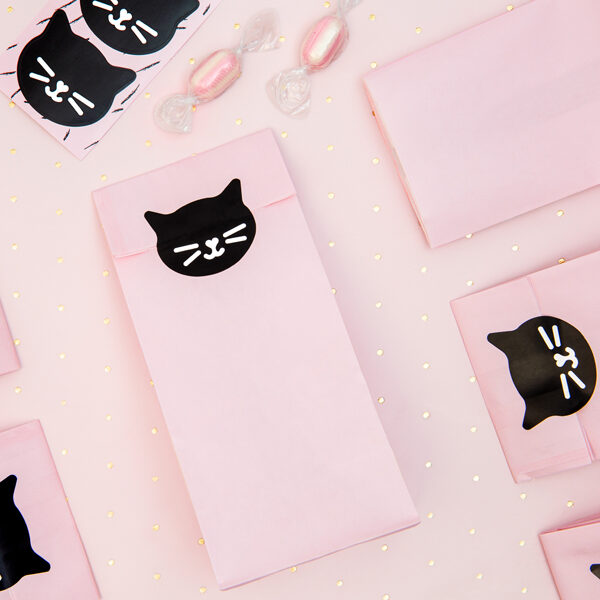 POCHETTE SURPRISE CAT