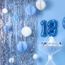 RIDEAU FÊTE ARGENTÉ