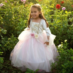 ROBE DE PRINCESS ROSE DORÉ 5-7 ANS