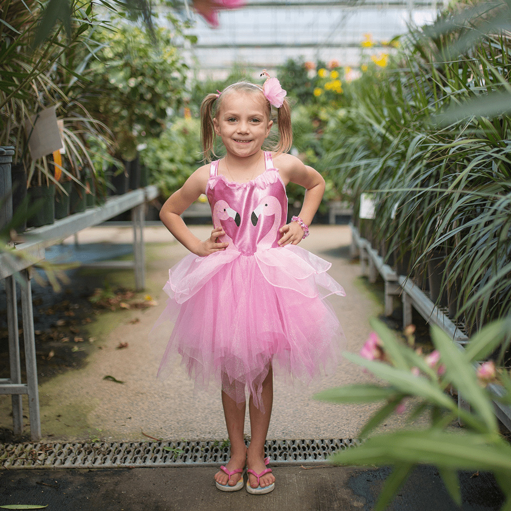 ROBE PRINCESSE FLAMINGO 5-6 ANS