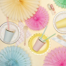 ROSETTES DECORATIVES CREME