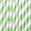 PAILLES MENTHE