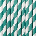 PAILLES TURQUOISES