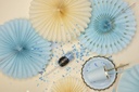 ROSETTES DECORATIVES CREME