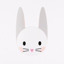 INVITATIONS MINI LAPIN