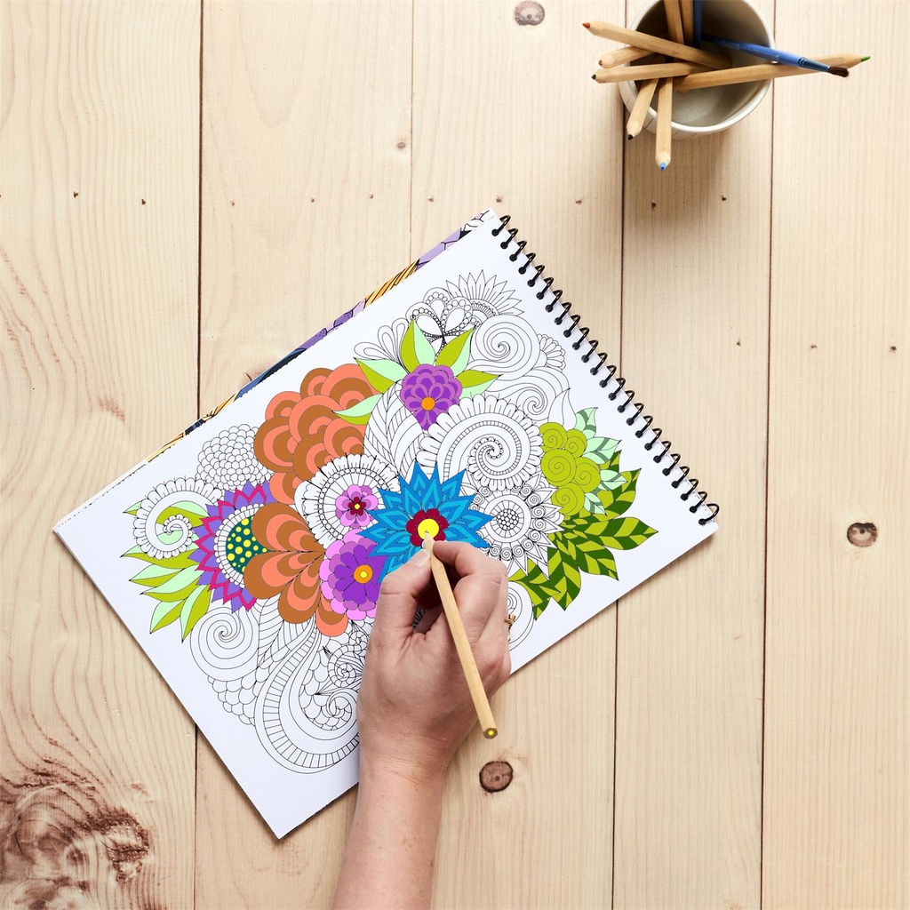 LIVRE DE COLORIAGE