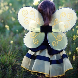 AILES DE BOURDON & BANDEAU