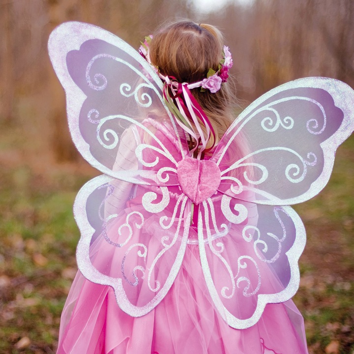 AILES MERVEILLEUSES PARME