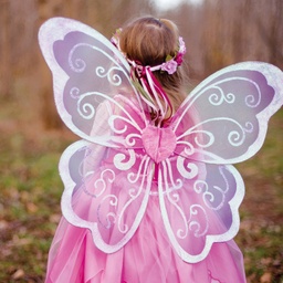 AILES MERVEILLEUSES PARME