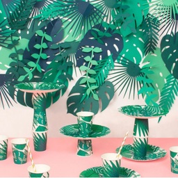 ASSIETTES TROPICALE