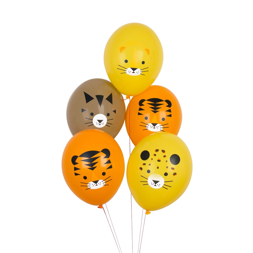 5 BALLONS MINI FELINS