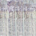 RIDEAU FÊTE HOLOGRAPHE