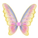AILES ARC-EN-CIEL PAILLETÉS