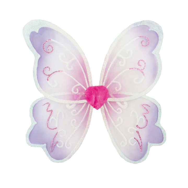 AILES MERVEILLEUSES PARME