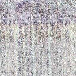 [CRT-016H] RIDEAU FÊTE HOLOGRAPHE
